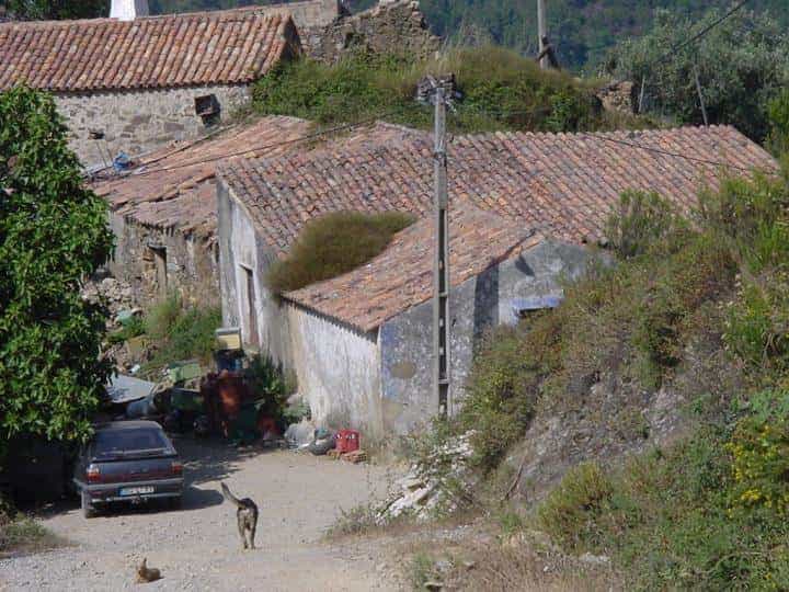 Tour in die Berge Richtung Monchique - Hunde im Bergdorf